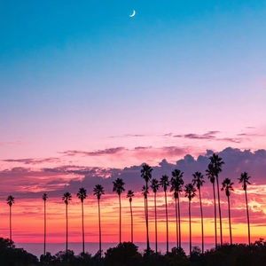 Meet your Posher, Jonna